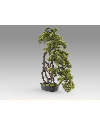 KENGAI - BONSAI 74CM